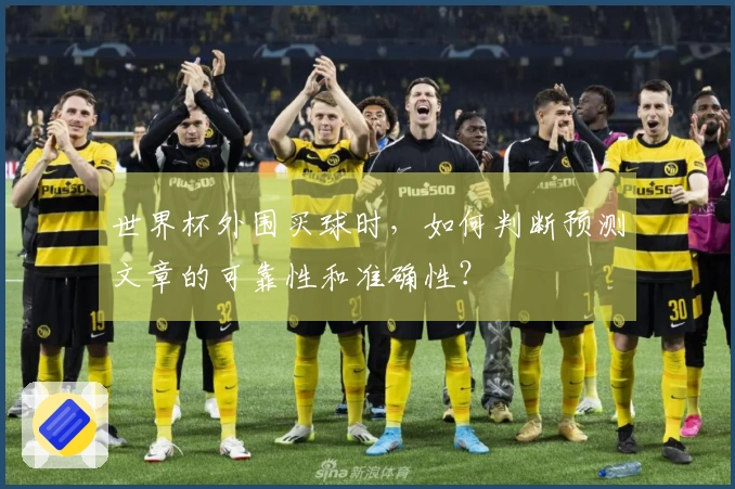 世界杯外围买球时，如何判断预测文章的可靠性和准确性？