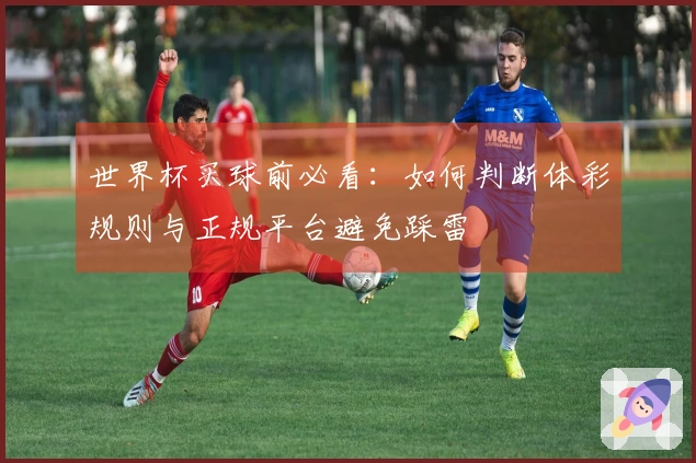 世界杯买球前必看：如何判断体彩规则与正规平台避免踩雷