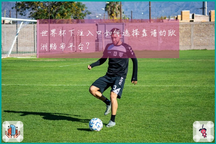 世界杯下注入口如何选择靠谱的欧洲赔率平台？